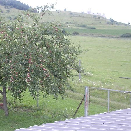 فندق Penzion Drevenik Spišské Podhradie المظهر الخارجي الصورة
